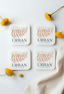 Spring Fern Coaster