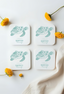 Flower Turtle Coaster